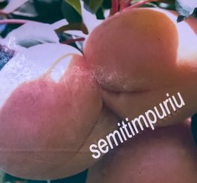 Cais de Ananas – soi semitimpuriu