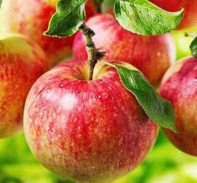 Măr – Delicios de Voinesti